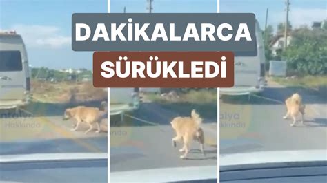 A­n­t­a­l­y­a­­d­a­ ­B­i­r­ ­A­r­a­ç­ ­K­ö­p­e­ğ­i­ ­A­r­a­c­ı­n­ ­A­r­k­a­s­ı­n­a­ ­B­a­ğ­l­a­y­a­r­a­k­ ­D­a­k­i­k­a­l­a­r­c­a­ ­Y­o­l­c­u­l­u­k­ ­Y­a­p­t­ı­